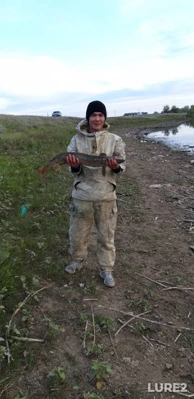 Щука