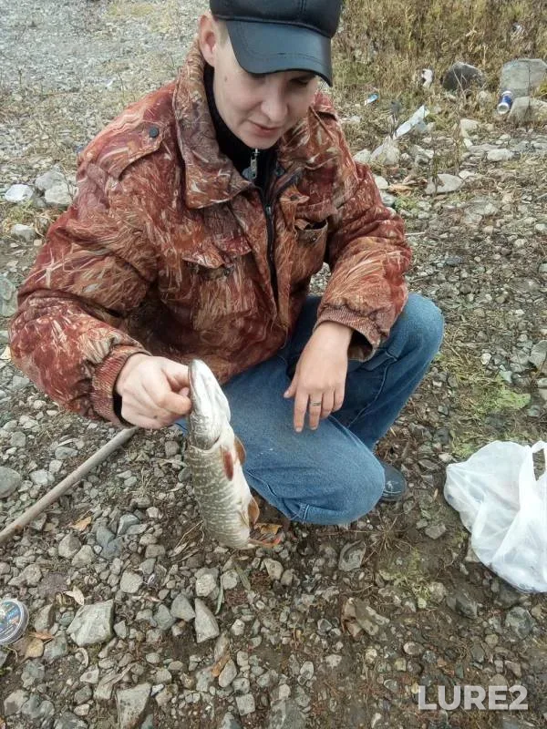 Щука