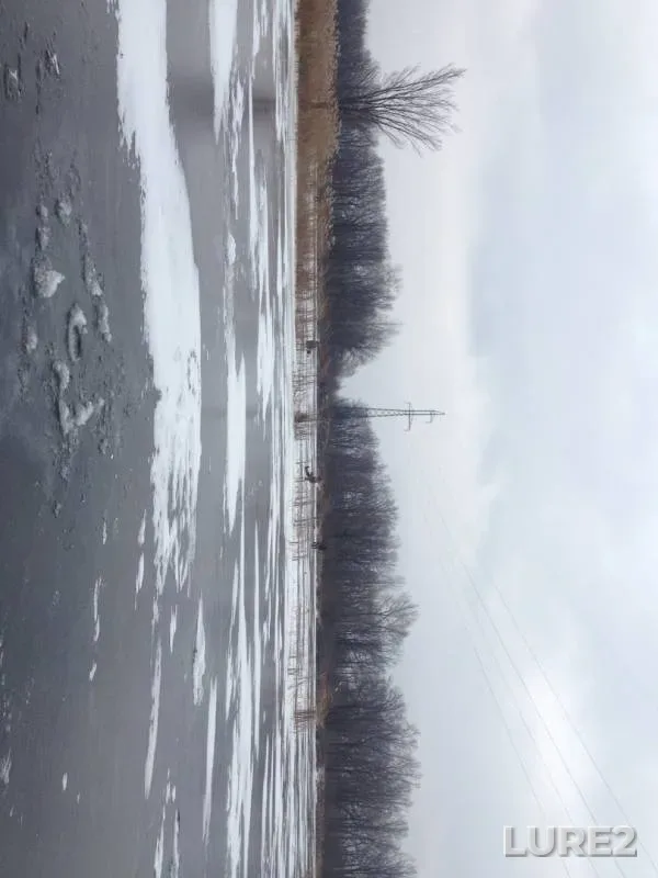 Окунь