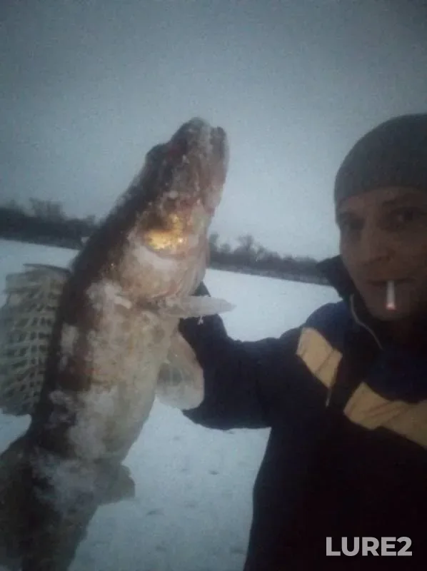Судак