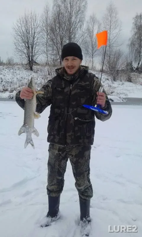 Щука