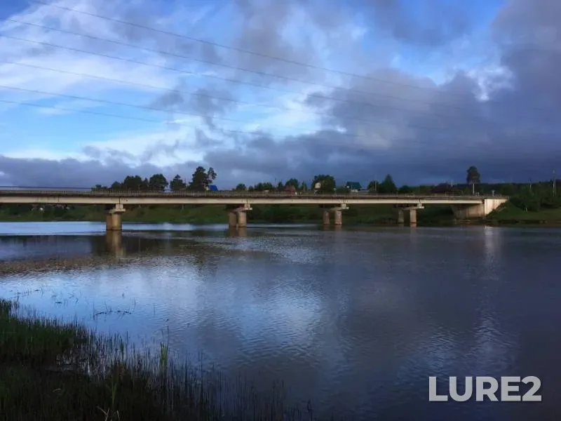 Лещ