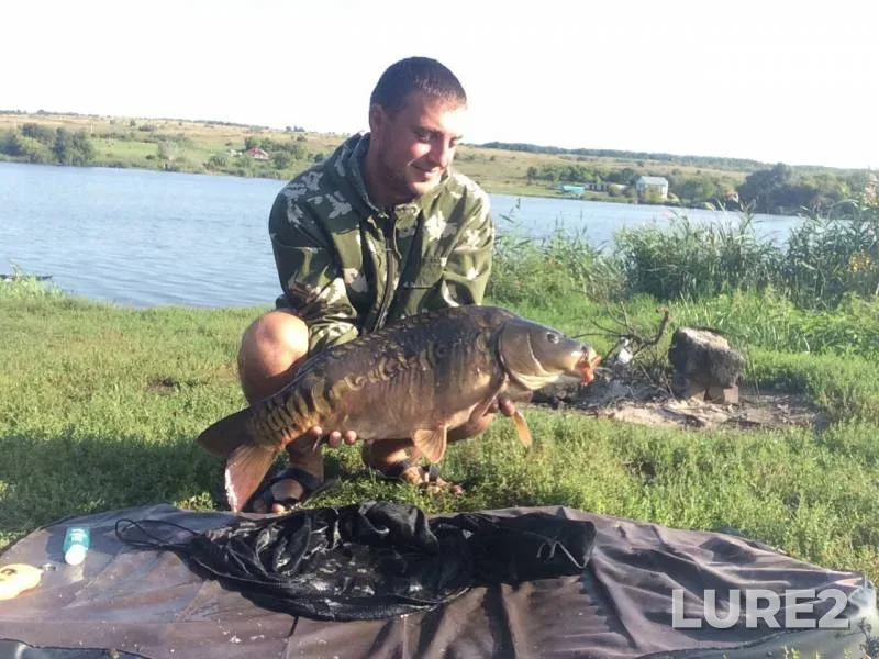 Карп