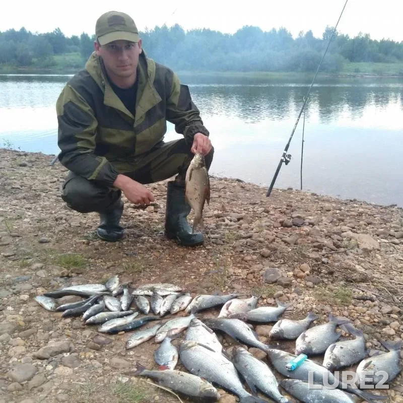 Лещ