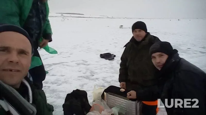 Окунь, Щука