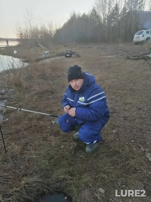 Налим