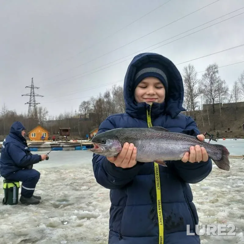 Форель