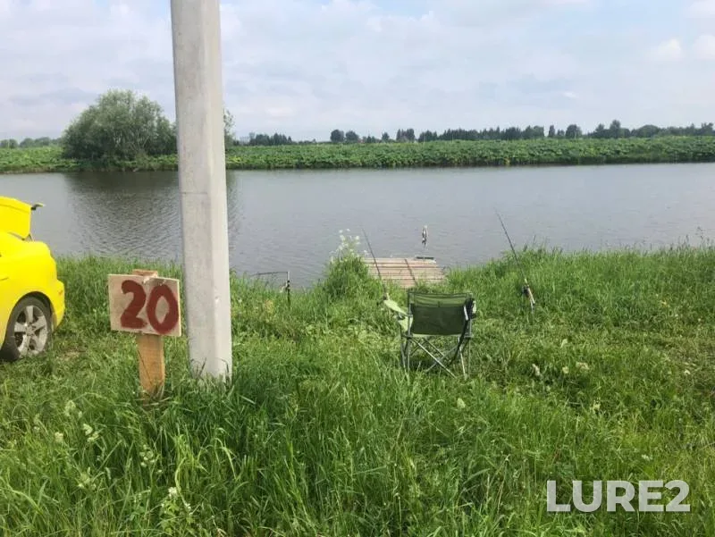 Лещ, Карп