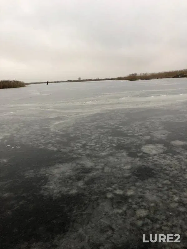 Окунь