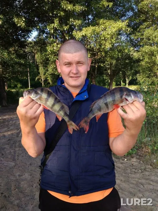 Окунь