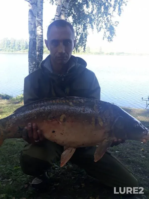 Карп — Кемеровская область, 10 авг. 2019 г.