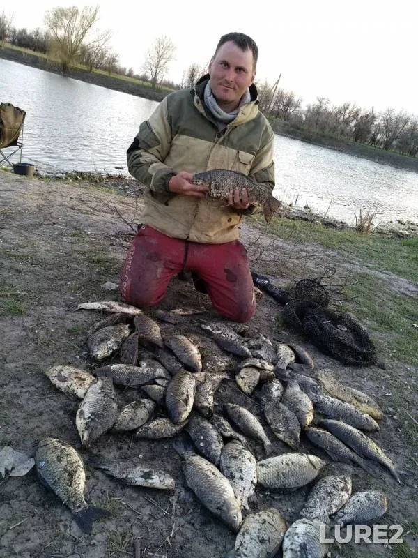 Карась