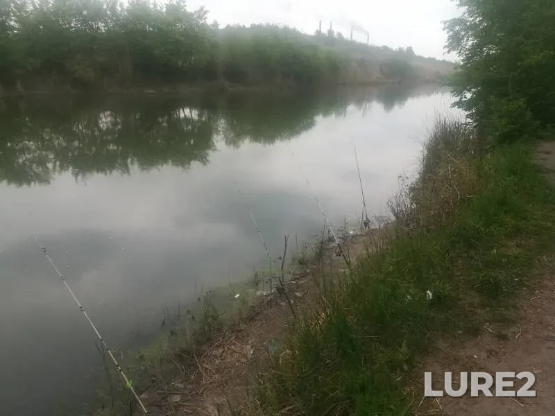Карась