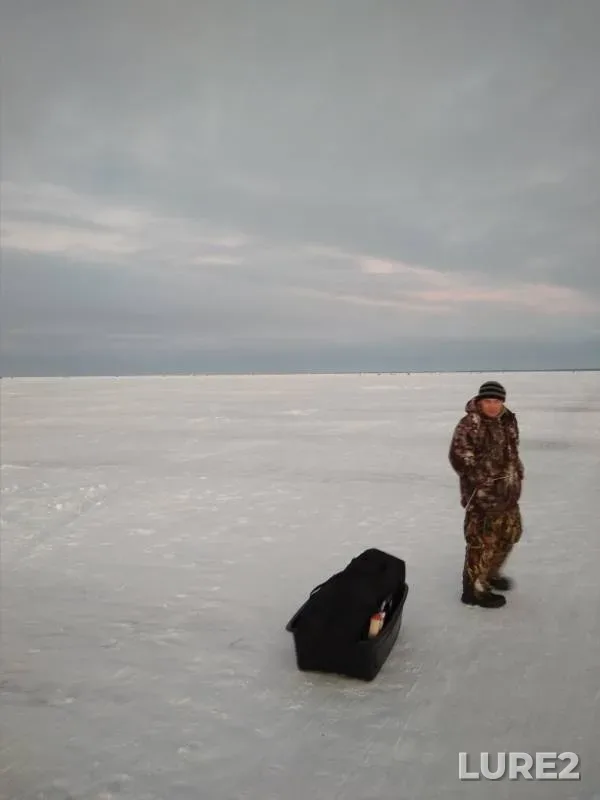 Карась