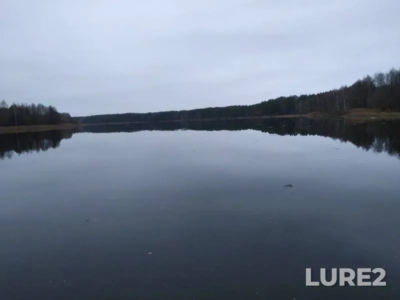 Лещ, Плотва — Рудея, 09 дек. 2019 г.