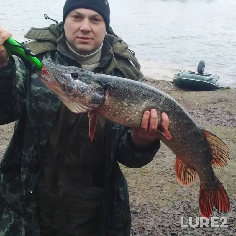 Щука — Друть, 28 дек. 2019 г.