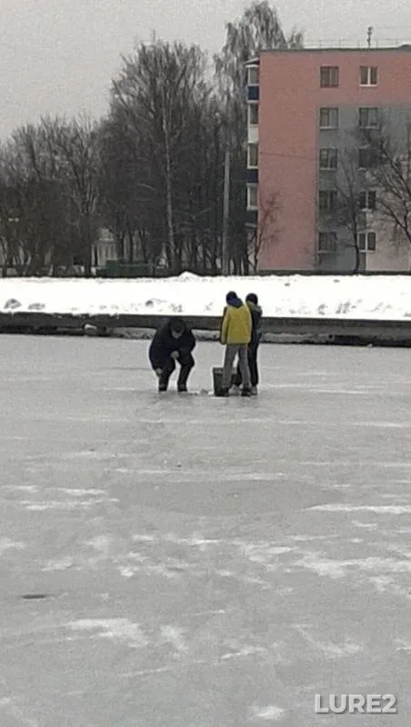Окунь — Свислочь, 29 дек. 2015 г.