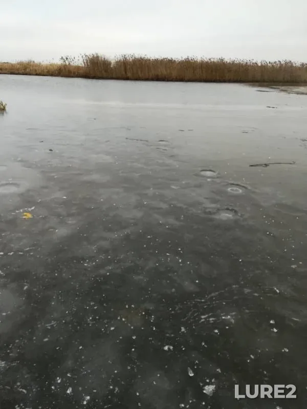 Окунь, Плотва — Черноочка, 07 дек. 2019 г.