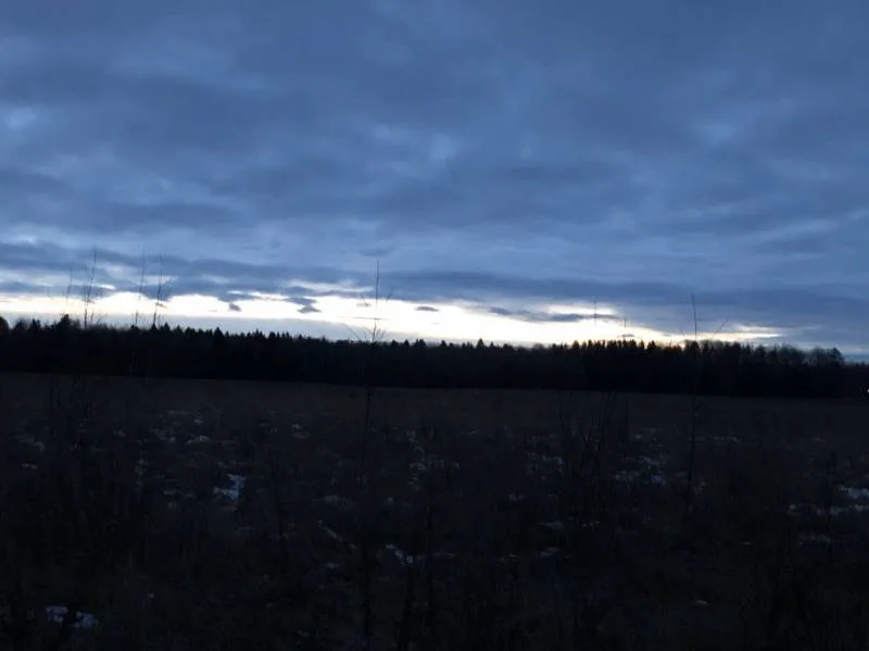 Окунь, Судак