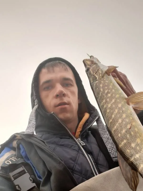 Щука