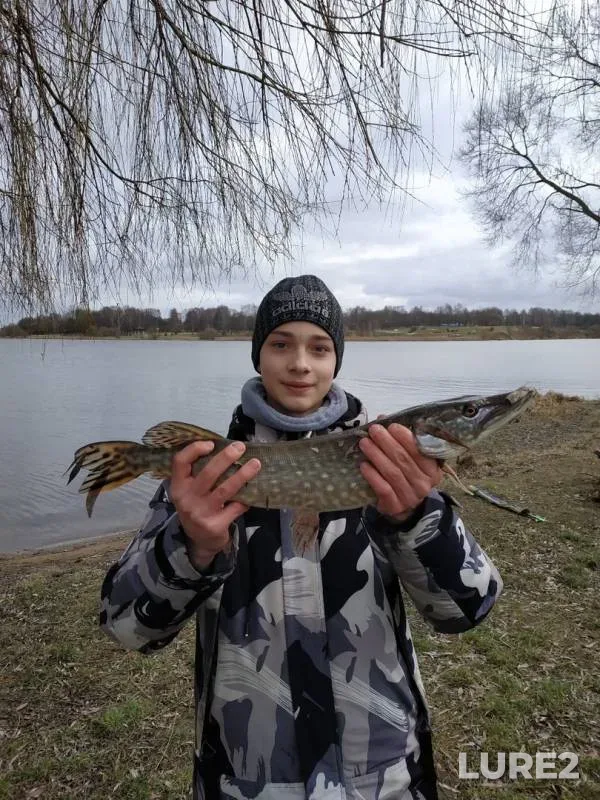 Щука — Свислочь, 23 февр. 2020 г.