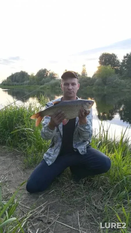 Язь — Сож, 31 июл. 2019 г.