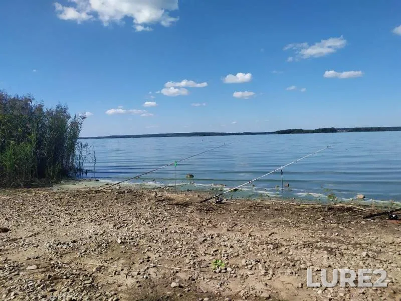 Лещ, Окунь — Заславское, 18 авг. 2019 г.