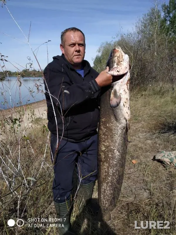 Сом — Мерлявица, 24 сент. 2019 г.