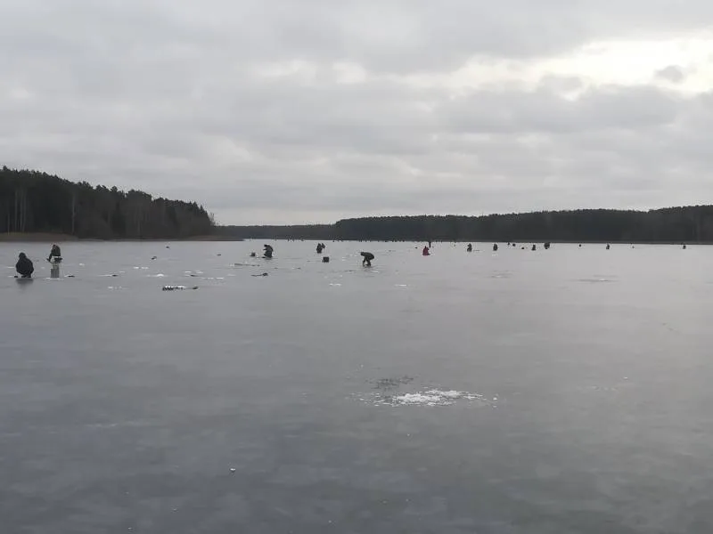 Лещ