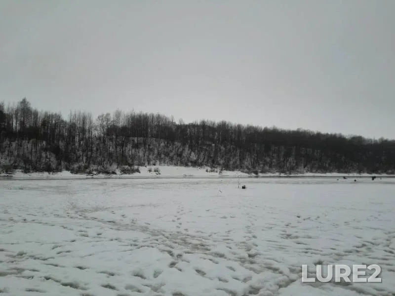 Щука — Западная Двина, 02 февр. 2019 г.