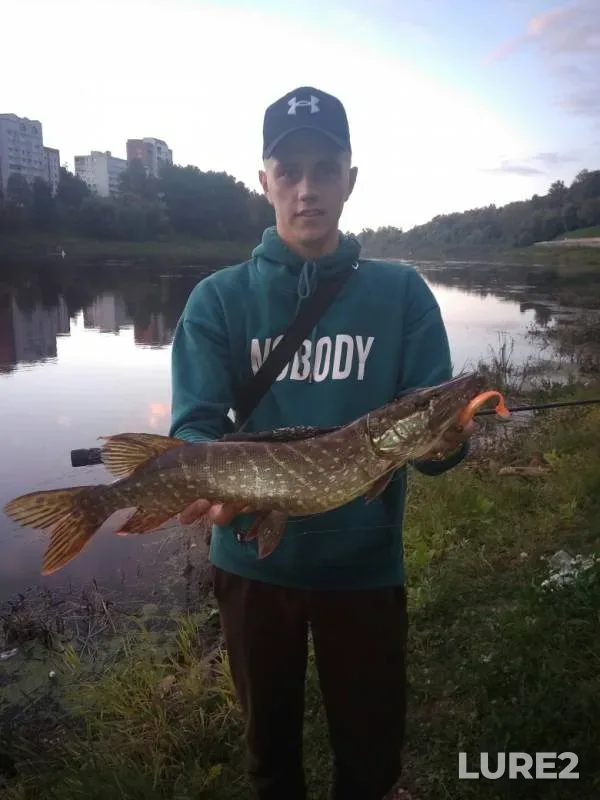 Щука — Западная Двина, 06 сент. 2019 г.