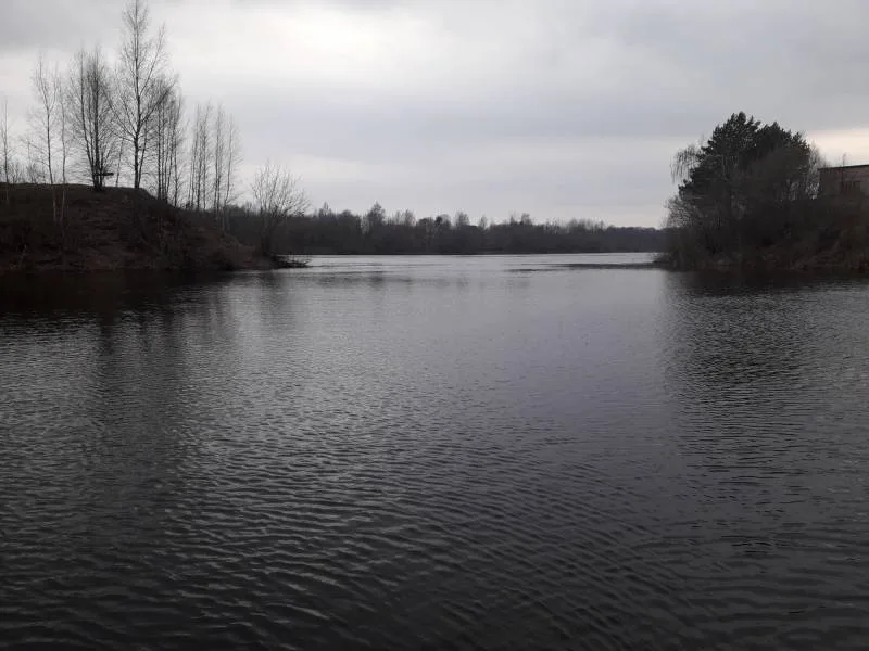 Окунь