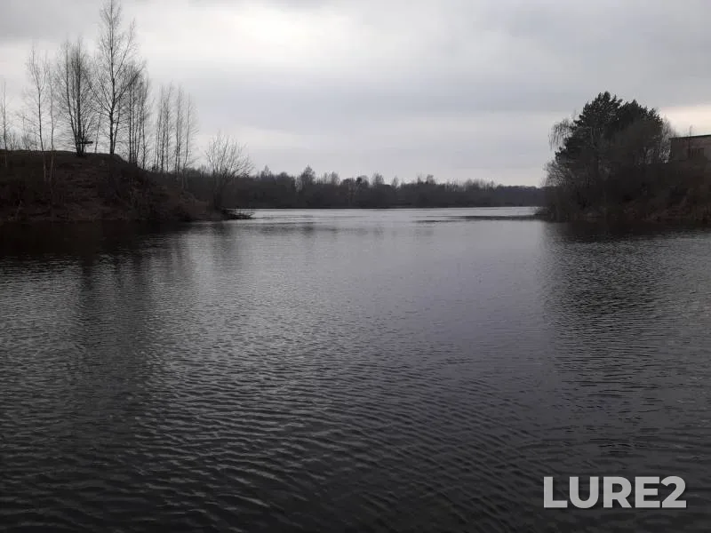 Окунь — Шевинка, 02 мар. 2020 г.