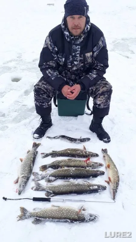 Щука — Сервечь, 29 янв. 2019 г.