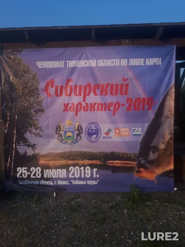Карп