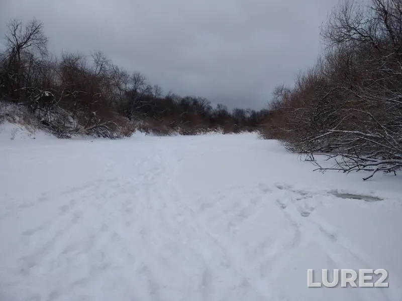 Щука