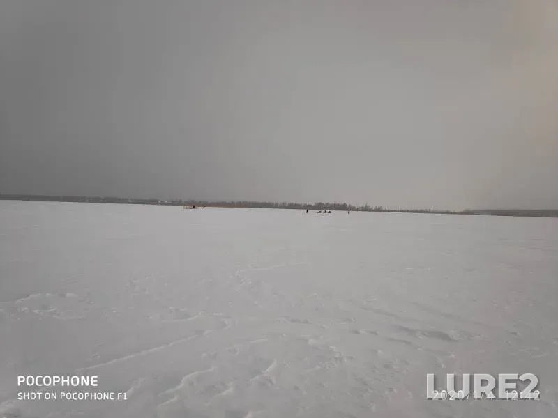 Окунь
