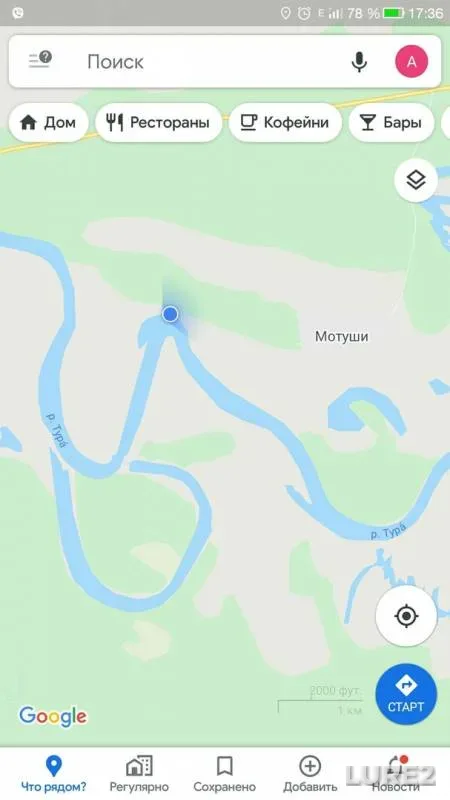 Окунь