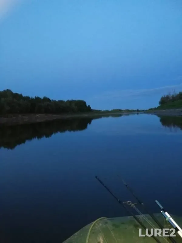Карась