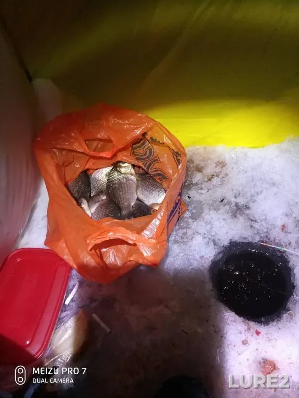 Карась