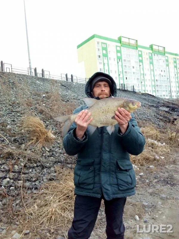 Лещ