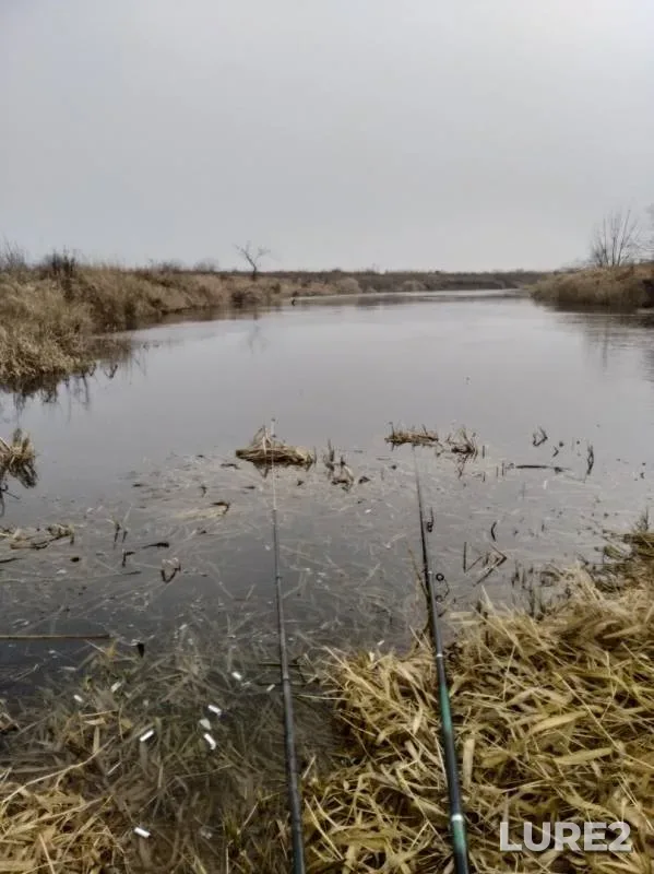 Окунь, Плотва — Лесная, 06 мар. 2020 г.