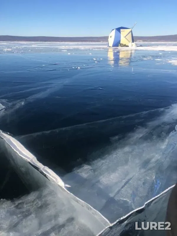 Окунь
