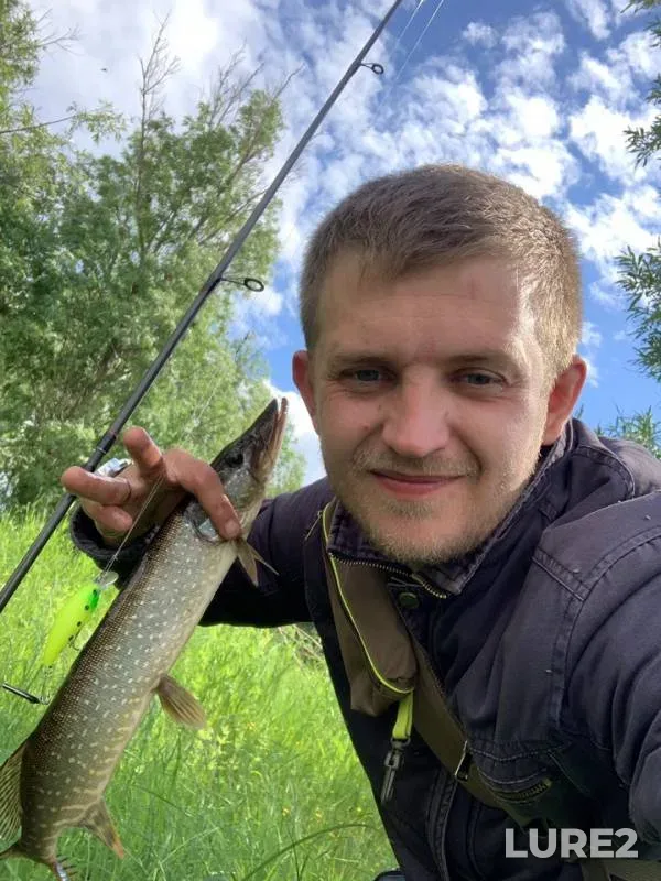 Щука