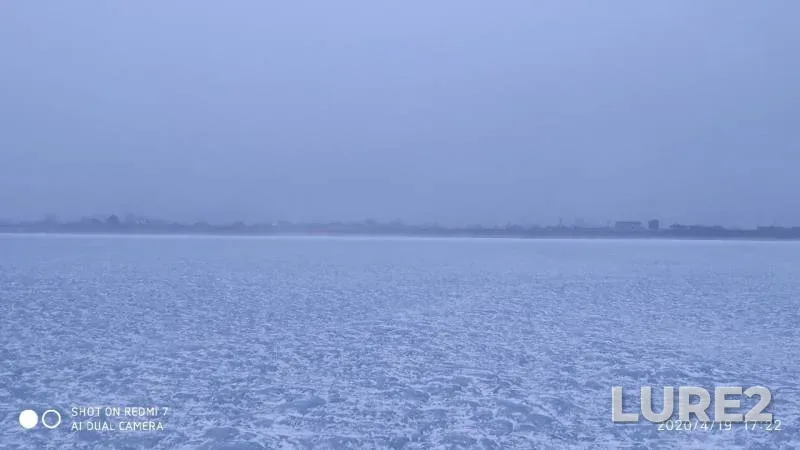 Окунь, Щука