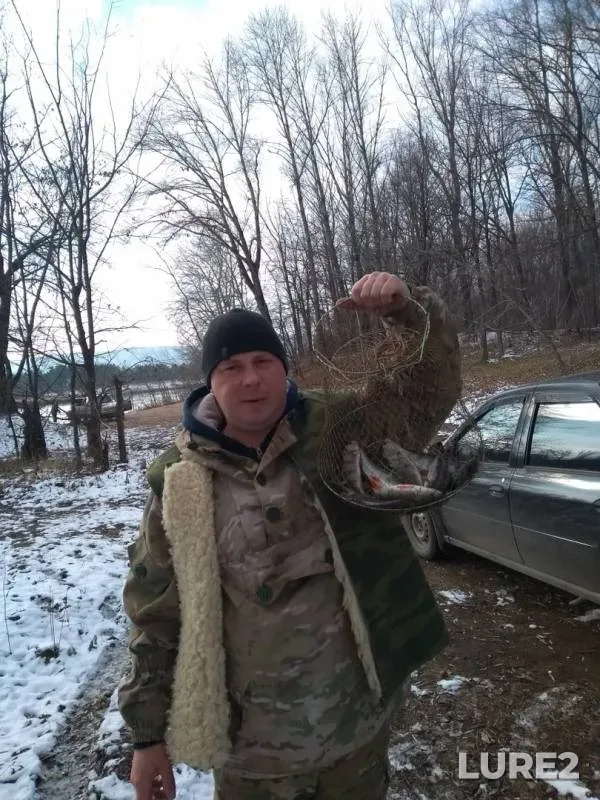Окунь
