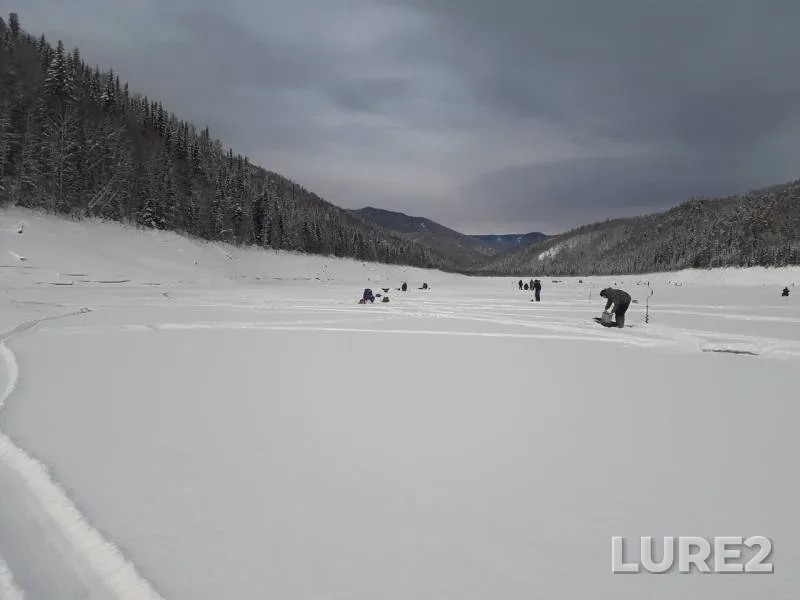 Окунь