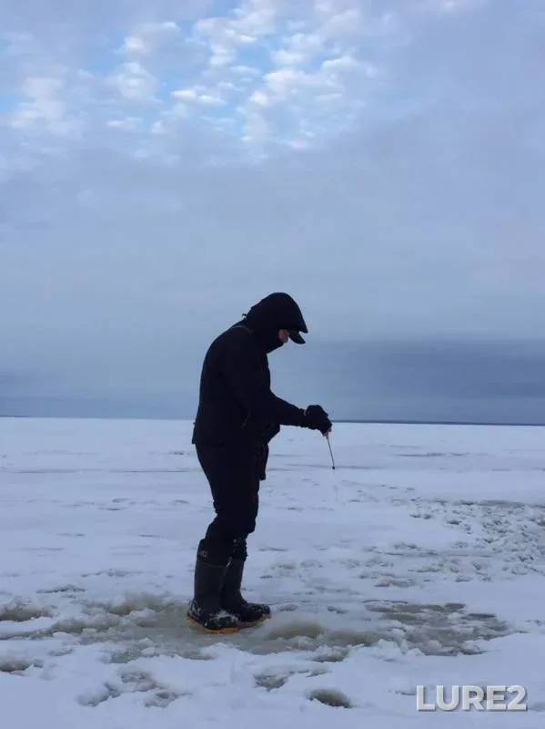 Окунь