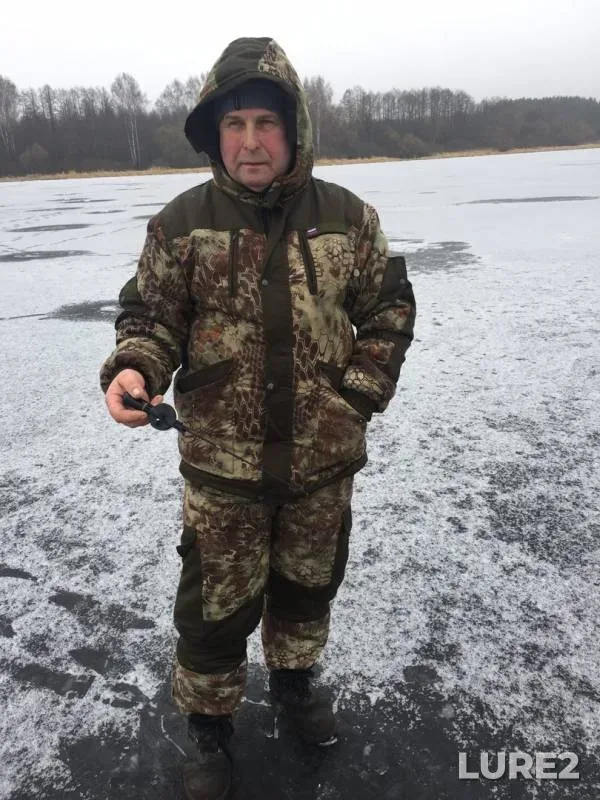 Окунь, Щука