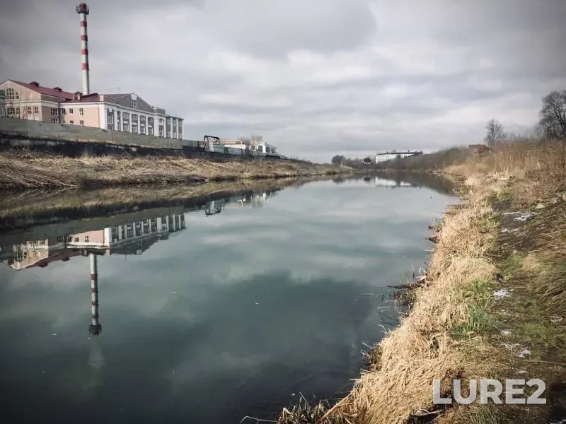 Уклейка, Окунь